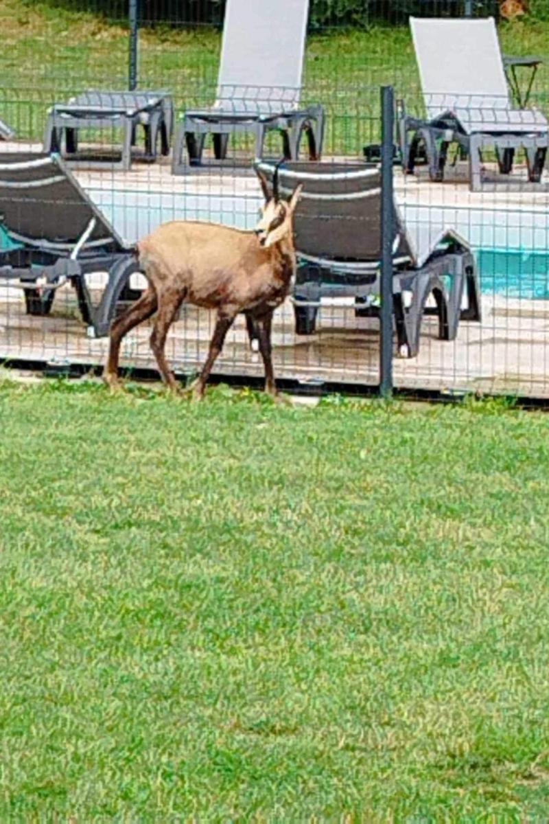 La ChatelaineGite 2 Pieces Parc Des Chamois Piscine Chauffee公寓 外观 照片